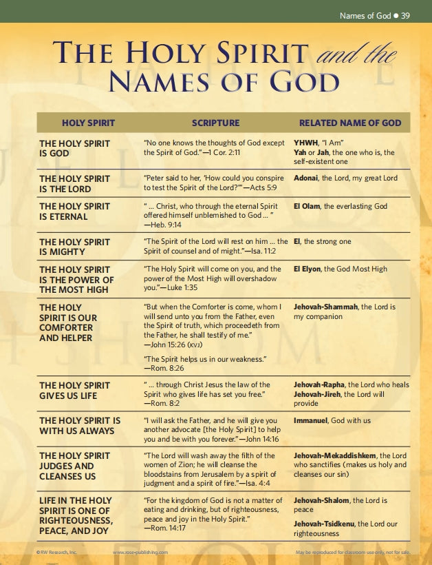 🔥Last Day 49% off🔥10th Anniversary Edition Bible Charts, Maps and Time Lines（Spiral-bound hardcover）